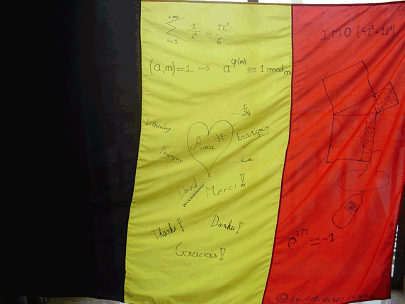 Decorated Belgian flag for guide Ana